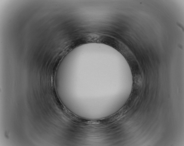 X0000097890602200803141007
