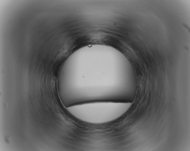 X0000097890603200803141007