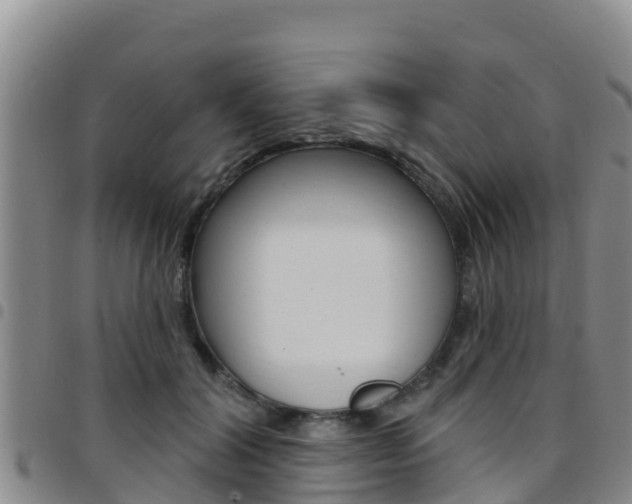 X0000097890604200803141007