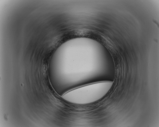 X0000097890605200803141007
