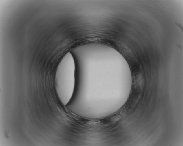 X0000097890606200803141007