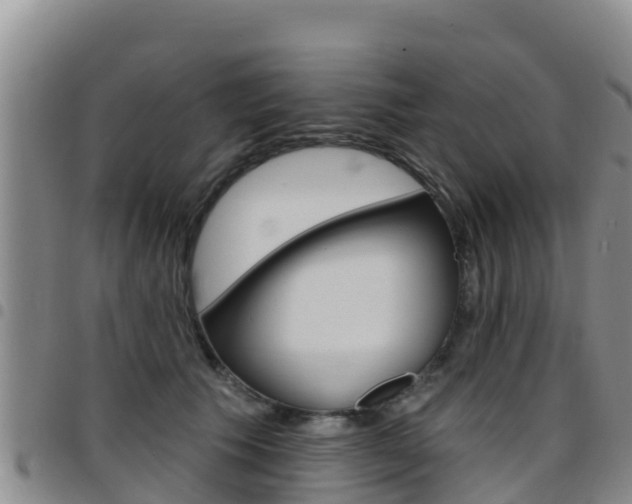 X0000097890609200803141007