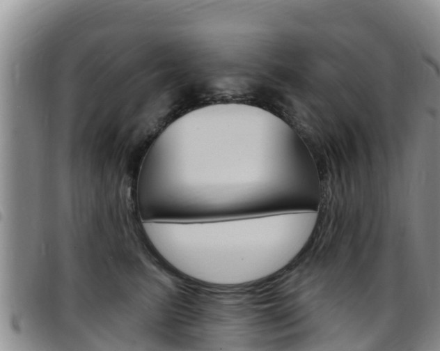 X0000097890615200803141006