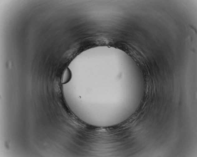 X0000097890616200803141006