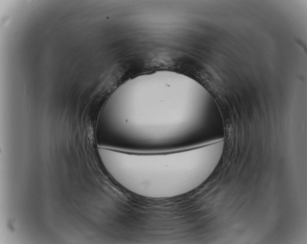 X0000097890617200803141006