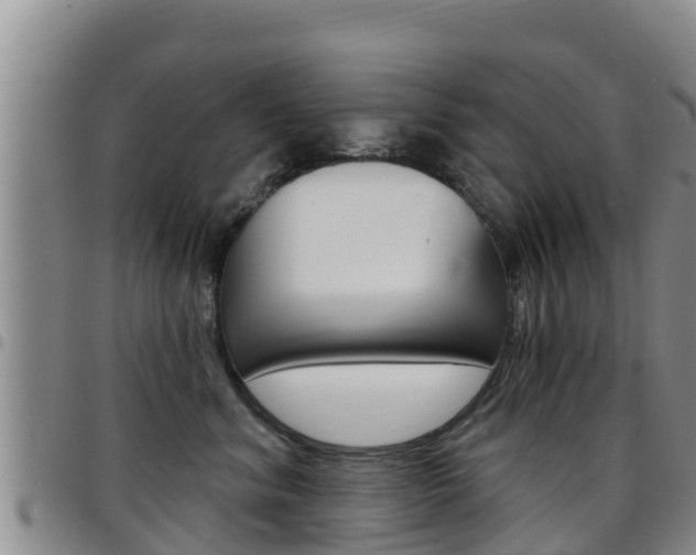 X0000097890620200803141006