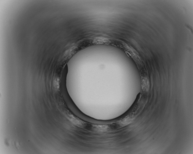 X0000097890621200803141006