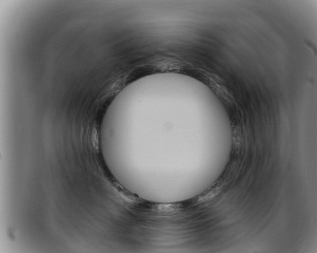 X0000097890622200803141006