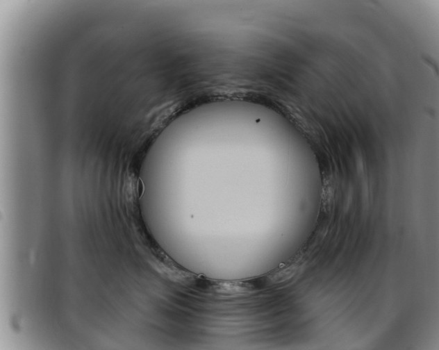 X0000097890623200803141006