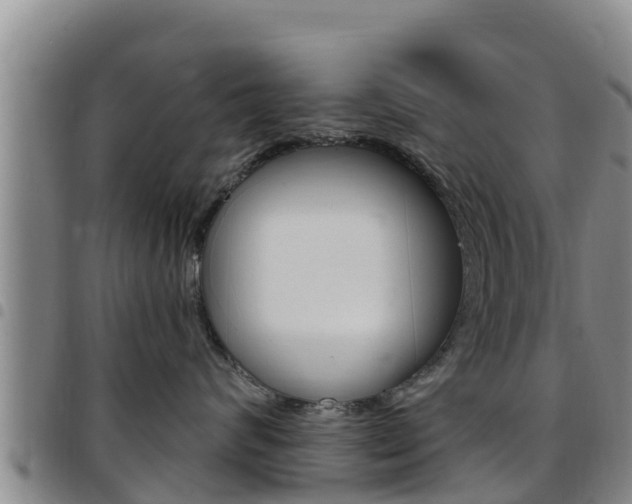 X0000097890624200803141006