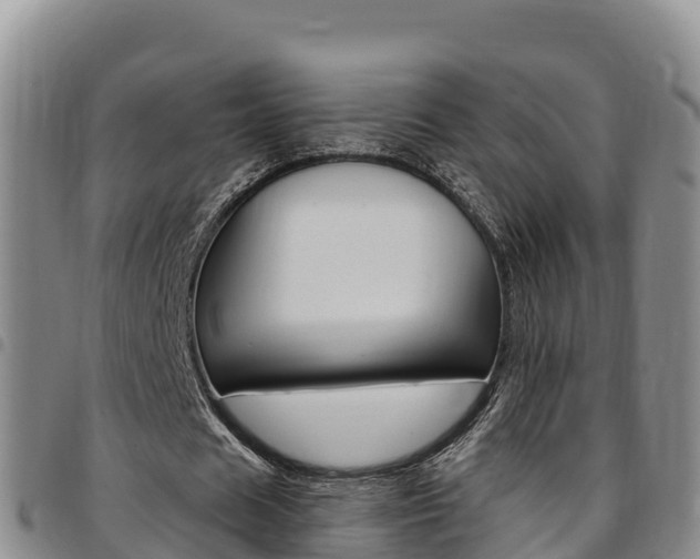 X0000097890625200803141005
