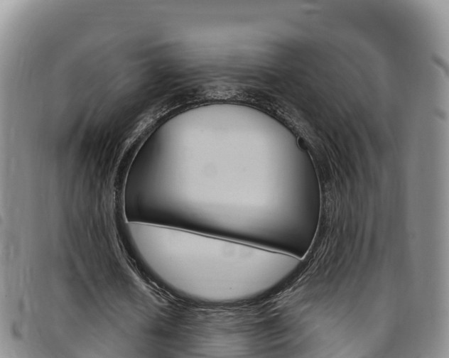 X0000097890626200803141005