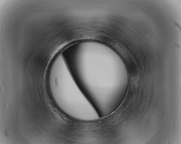 X0000097890628200803141006