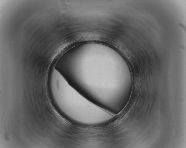 X0000097890629200803141006