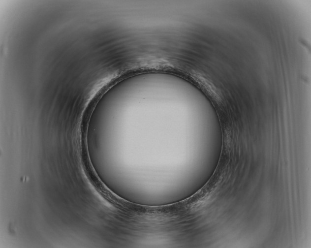X0000097890630200803141006