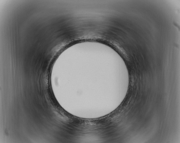 X0000097890632200803141006