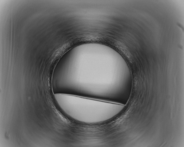X0000097890633200803141006