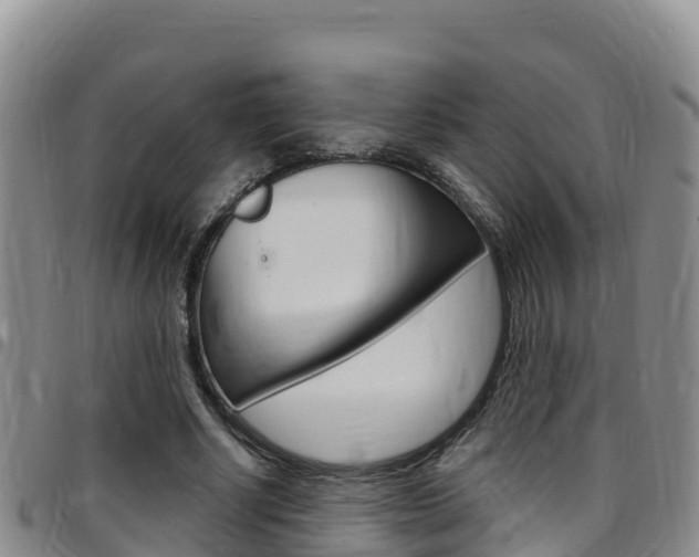 X0000097890634200803141006
