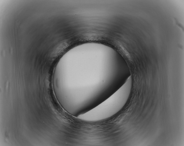 X0000097890635200803141006