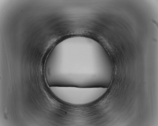 X0000097890636200803141006