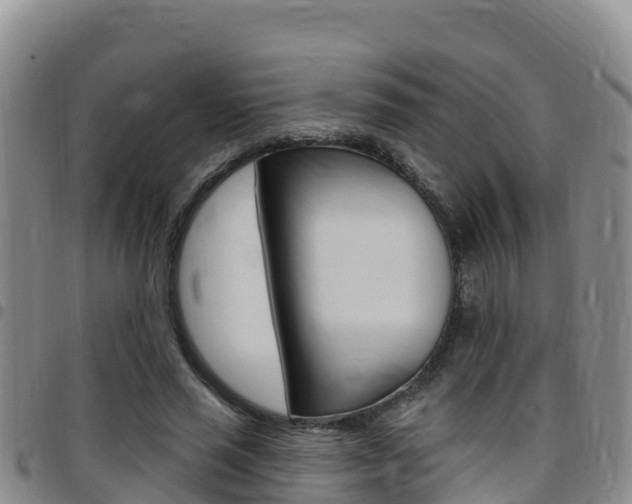 X0000097890637200803141006
