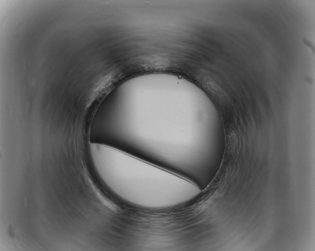 X0000097890638200803141006