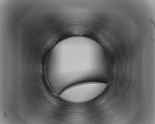 X0000097890639200803141006
