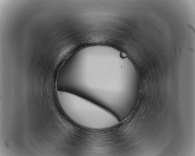 X0000097890640200803141006