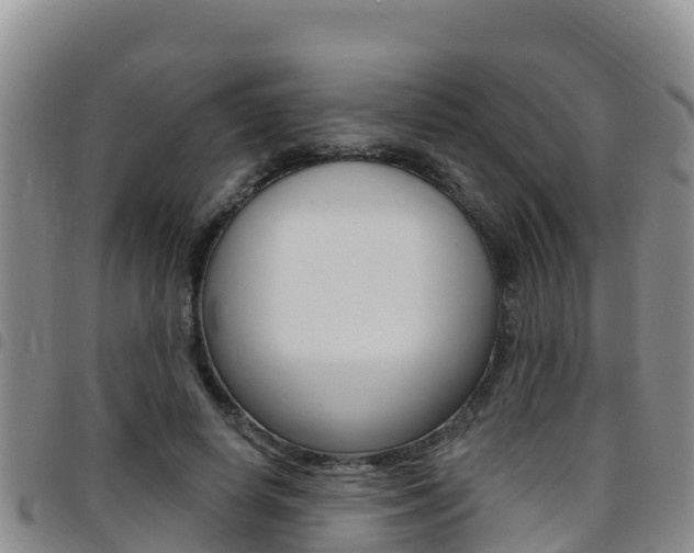 X0000097890642200803141006