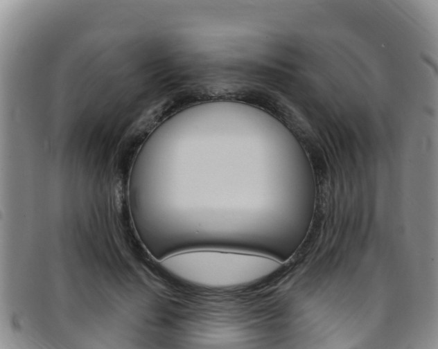 X0000097890644200803141006