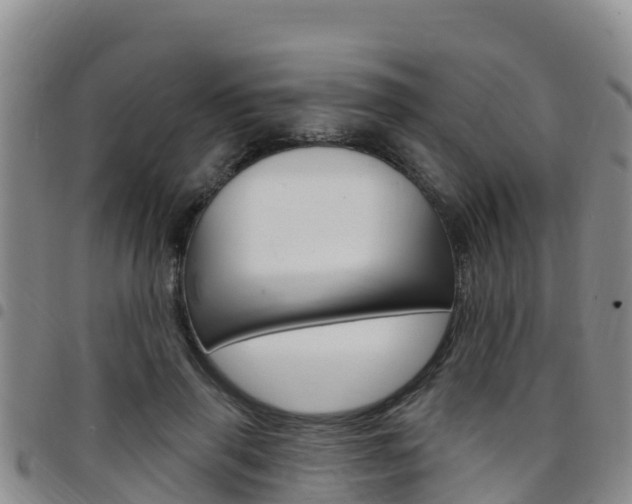 X0000097890645200803141006