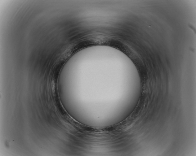 X0000097890646200803141006