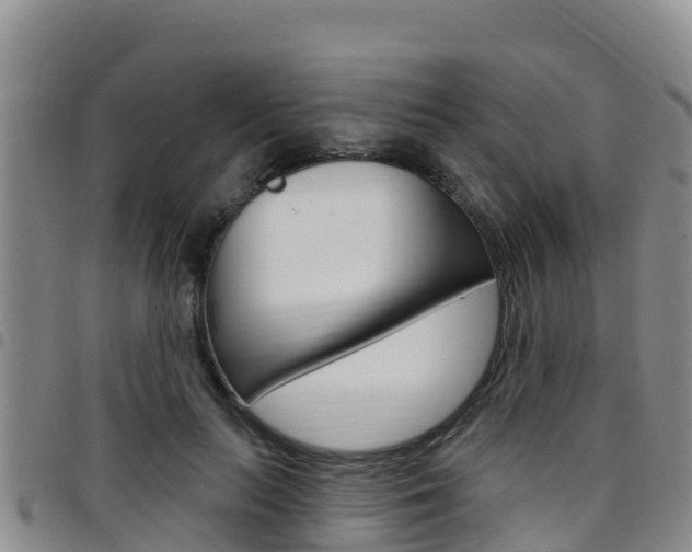 X0000097890647200803141006