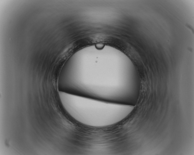 X0000097890648200803141006