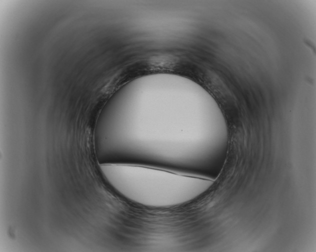 X0000097890649200803141006