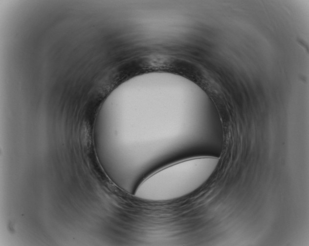 X0000097890651200803141006