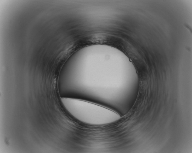 X0000097890652200803141006
