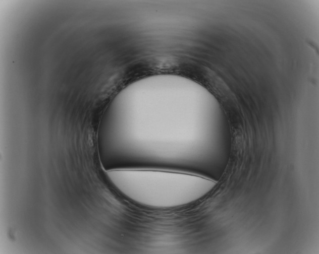 X0000097890654200803141006