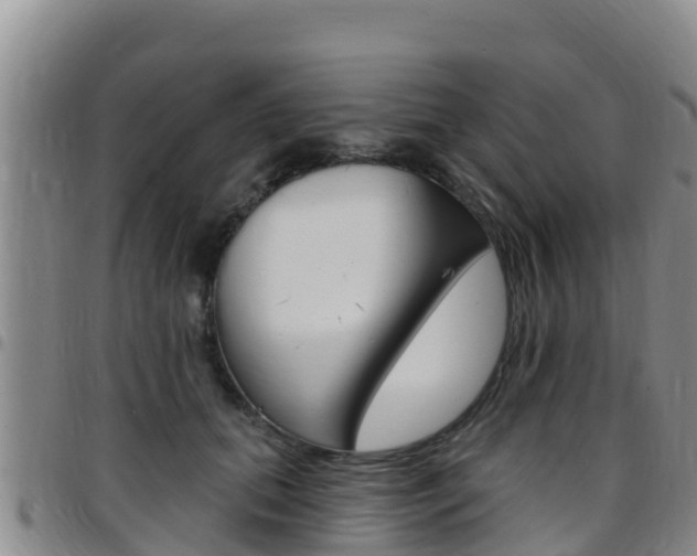 X0000097890655200803141006
