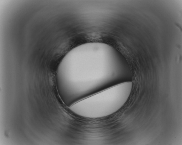 X0000097890658200803141006