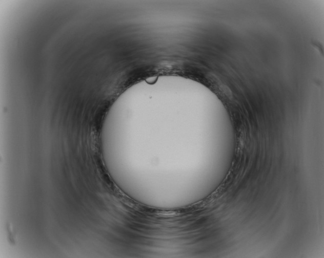X0000097890659200803141006