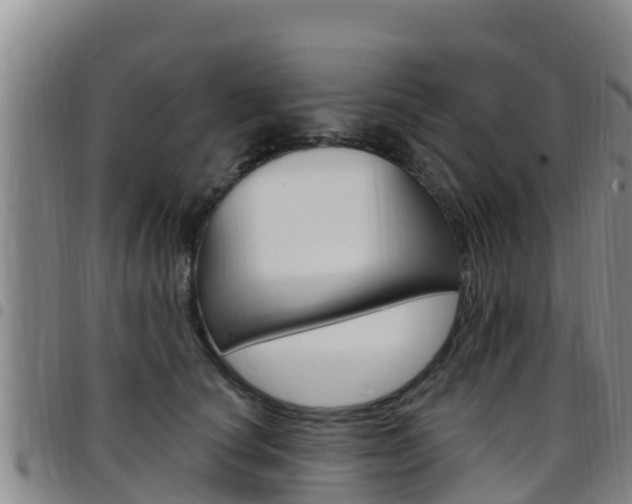 X0000097890660200803141006