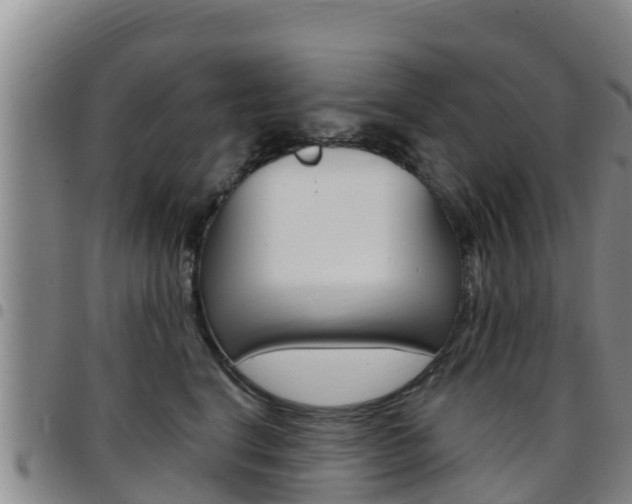 X0000097890664200803141006