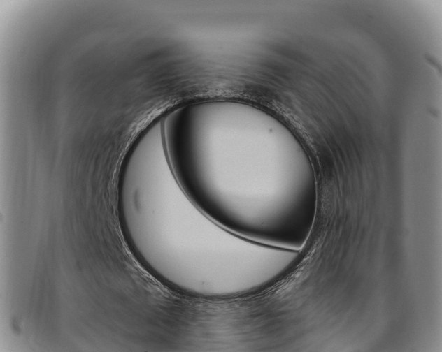 X0000097890673200803141005