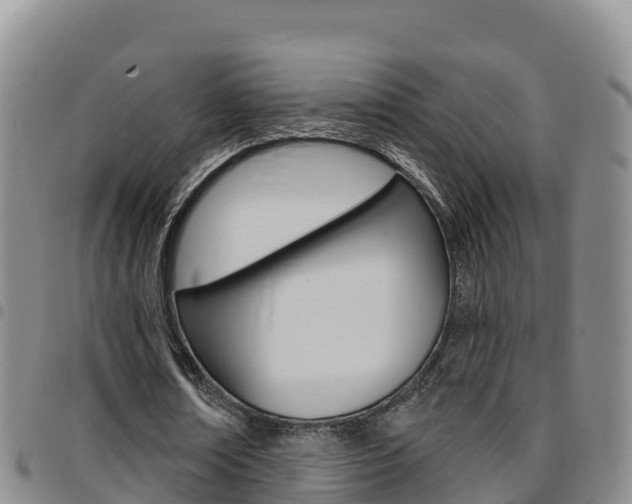 X0000097890674200803141005