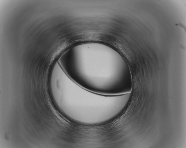 X0000097890677200803141005