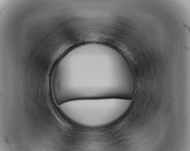 X0000097890678200803141005