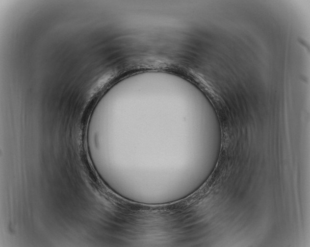 X0000097890679200803141005