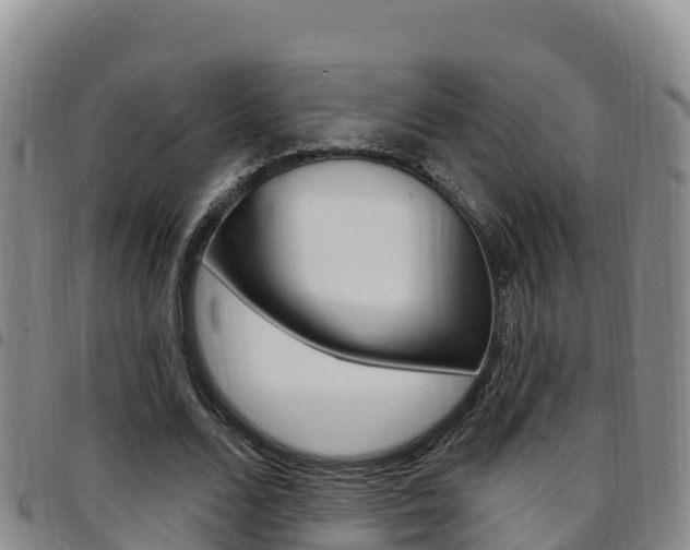 X0000097890680200803141005