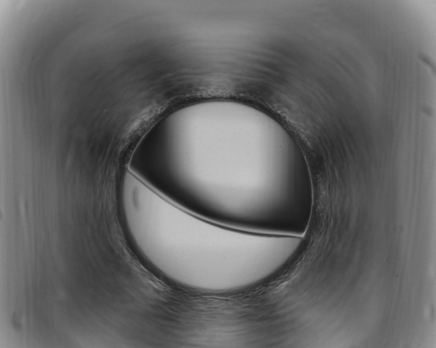 X0000097890681200803141005